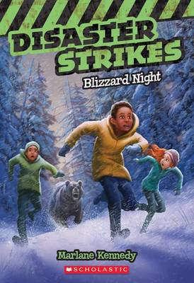 Blizzard Night (Disaster Strikes #3): Volume 3 book