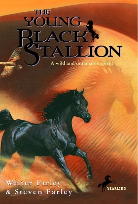 Young Black Stallion book