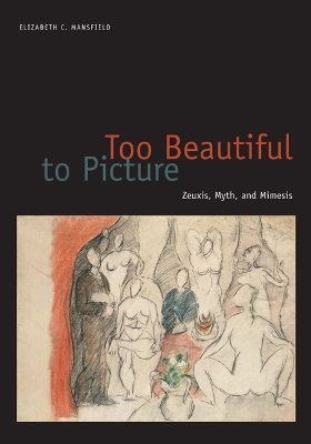 Too Beautiful to Picture by Elizabeth C. Mansfield