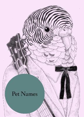 Pet Names by Lauren Lovett