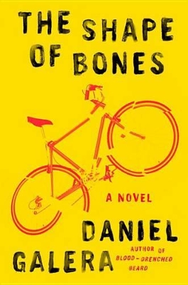 Shape of Bones by Daniel Galera