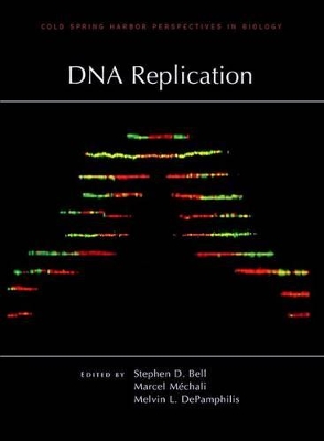 DNA Replication book