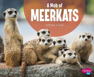 A Mob of Meerkats book