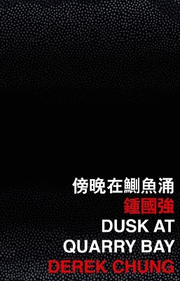 Dusk at Quarry Bay book