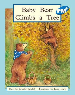 Baby Bear Climbs a Tree book
