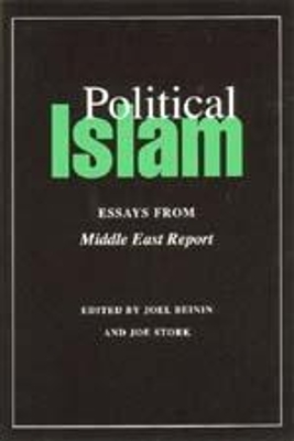 Political Islam by Joel Beinin