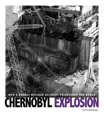 Chernobyl Explosion book
