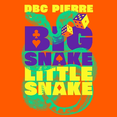 Big Snake Little Snake: An Inquiry into Risk by DBC Pierre