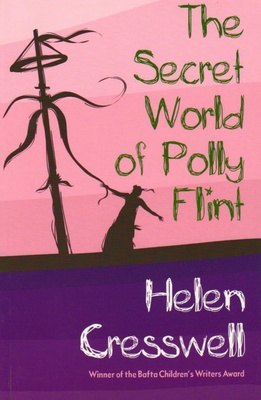 Secret World of Polly Flint book