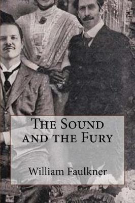 Sound and the Fury book