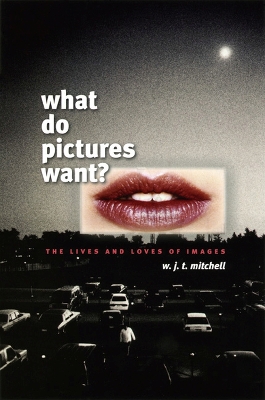 What Do Pictures Want? book