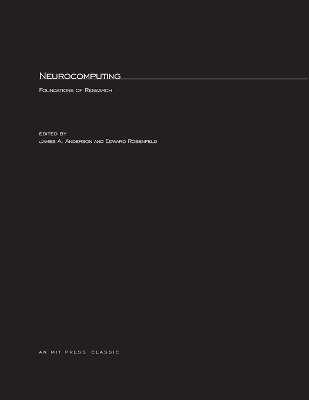 Neurocomputing book