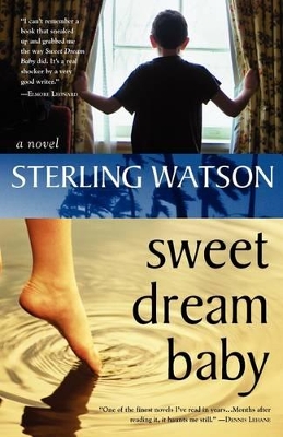 Sweet Dream Baby book