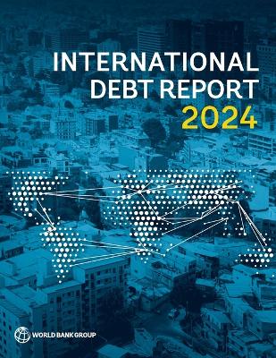 International Debt Report 2024 book