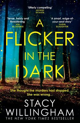 A Flicker in the Dark book