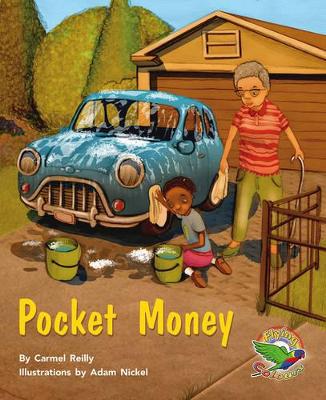 Pocket Money book
