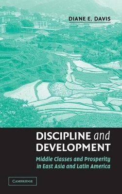 Discipline and Development book