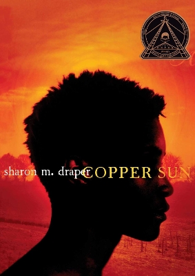 Copper Sun book