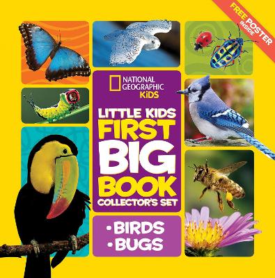 National Geographic Little Kids First Big Book Collector's Set: Birds and Bugs book