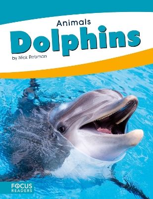 Dolphins by Nick Rebman