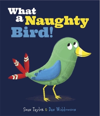 What a Naughty Bird book