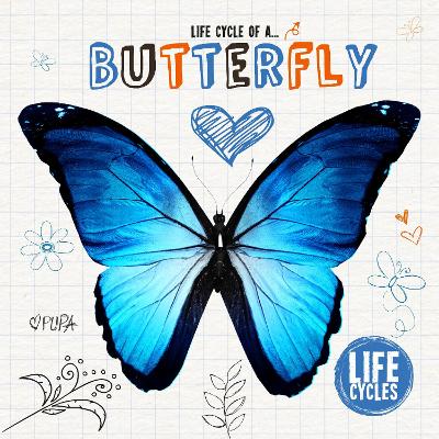Life Cycle of a Butterfly book
