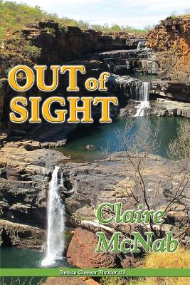 Out of Sight book