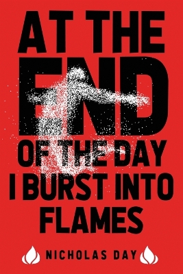 At The End Of The Day I Burst Into Flames book