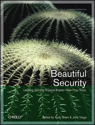 Beautiful Security book