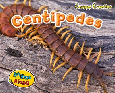 Centipedes by Rebecca Rissman