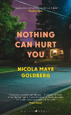 Nothing Can Hurt You book