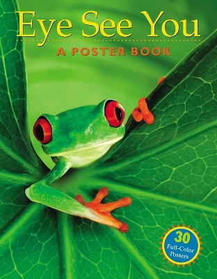 Eye See You Poster Book book