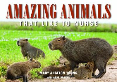 Amazing Animals: That Like to Nurse book