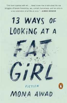 13 Ways Of Looking At A Fat Girl book
