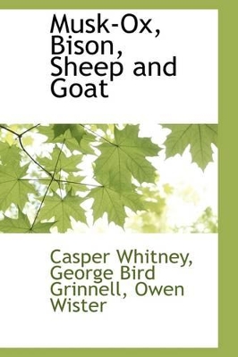 Musk-Ox, Bison, Sheep and Goat by George Bird Grinnell Owen Wi Whitney
