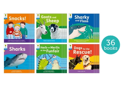 Oxford Reading Tree: Floppy's Phonics Decoding Practice: Oxford Level 3: Class Pack of 36 book