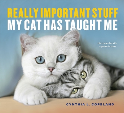 Really Important Stuff My Cat Has Taught Me book