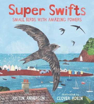 Super Swifts: Small Birds with Amazing Powers book