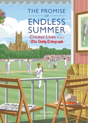 The Promise of Endless Summers book