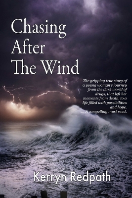 Chasing After The Wind book