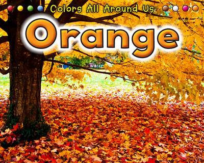 Orange by Rebecca Rissman