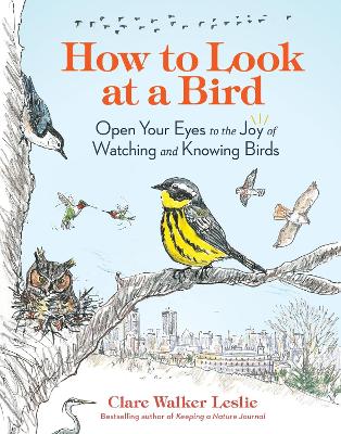 How to Look at a Bird: Open Your Eyes to the Joy of Watching and Knowing Birds book