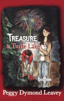 Treasure at Turtle Lake book