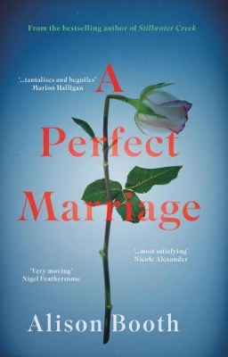 Perfect Marriage book