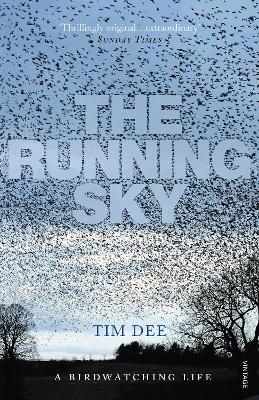 Running Sky book