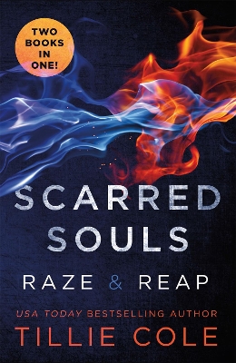 Scarred Souls book