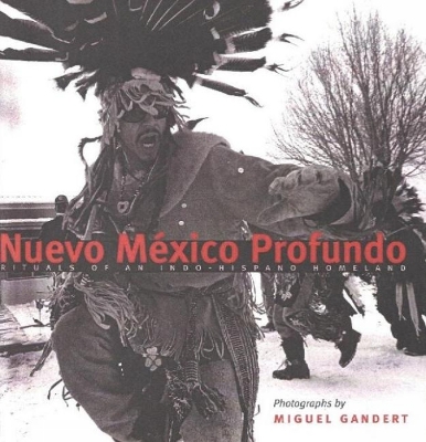 Nuevo Mexico Profundo book