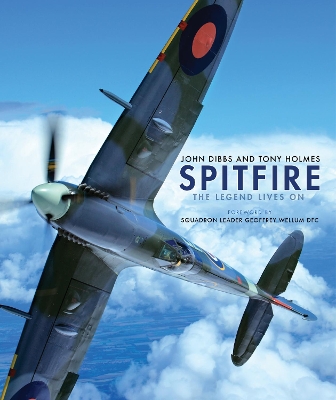 Spitfire by Tony Holmes