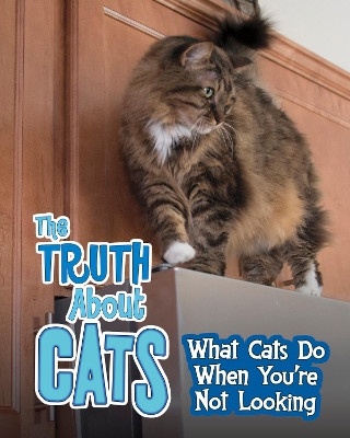 The Truth about Cats: What Cats Do When You're Not Looking book