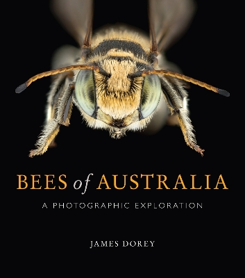 Bees of Australia: A Photographic Guide book
